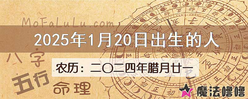 2025年1月20日出生的八字怎么样？