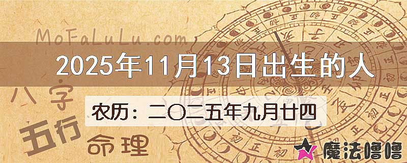 2025年11月13日出生的八字怎么样？