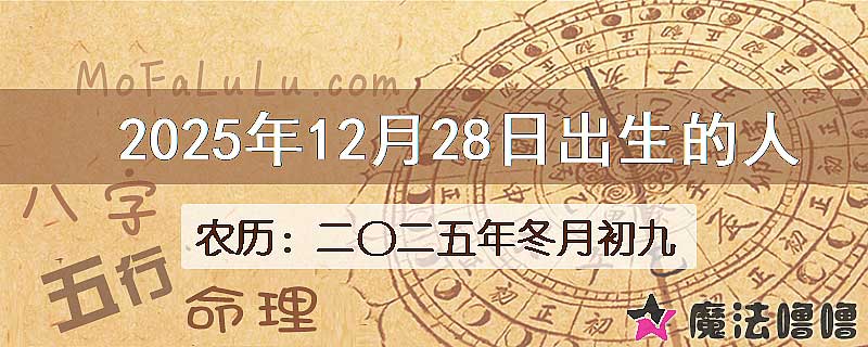 2025年12月28日出生的八字怎么样？